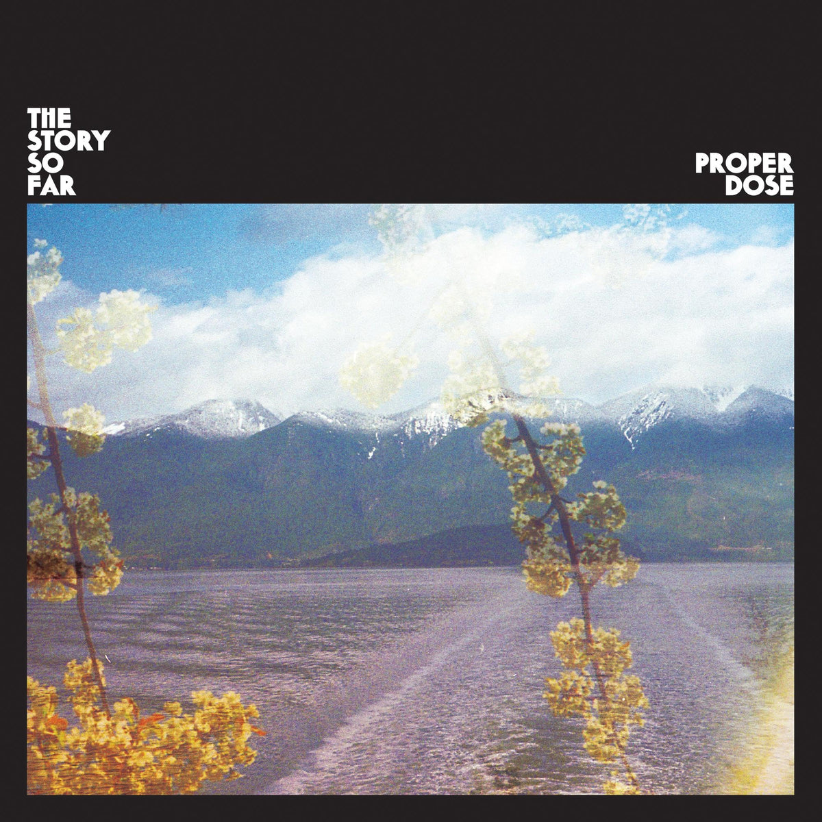 The Story So Far Proper Dose CD New Mint Rock