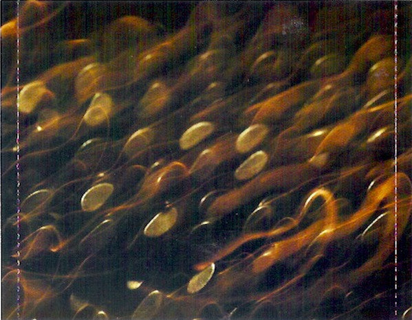 ZAYN (3) : Mind Of Mine (CD, Album, Dlx)