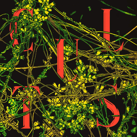 Cults Host CD New Mint