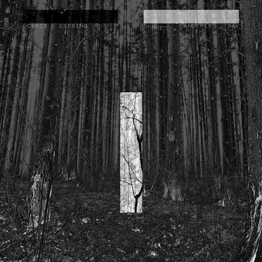Liebing Chris Another Day 2xVinyl New Mint Disco
