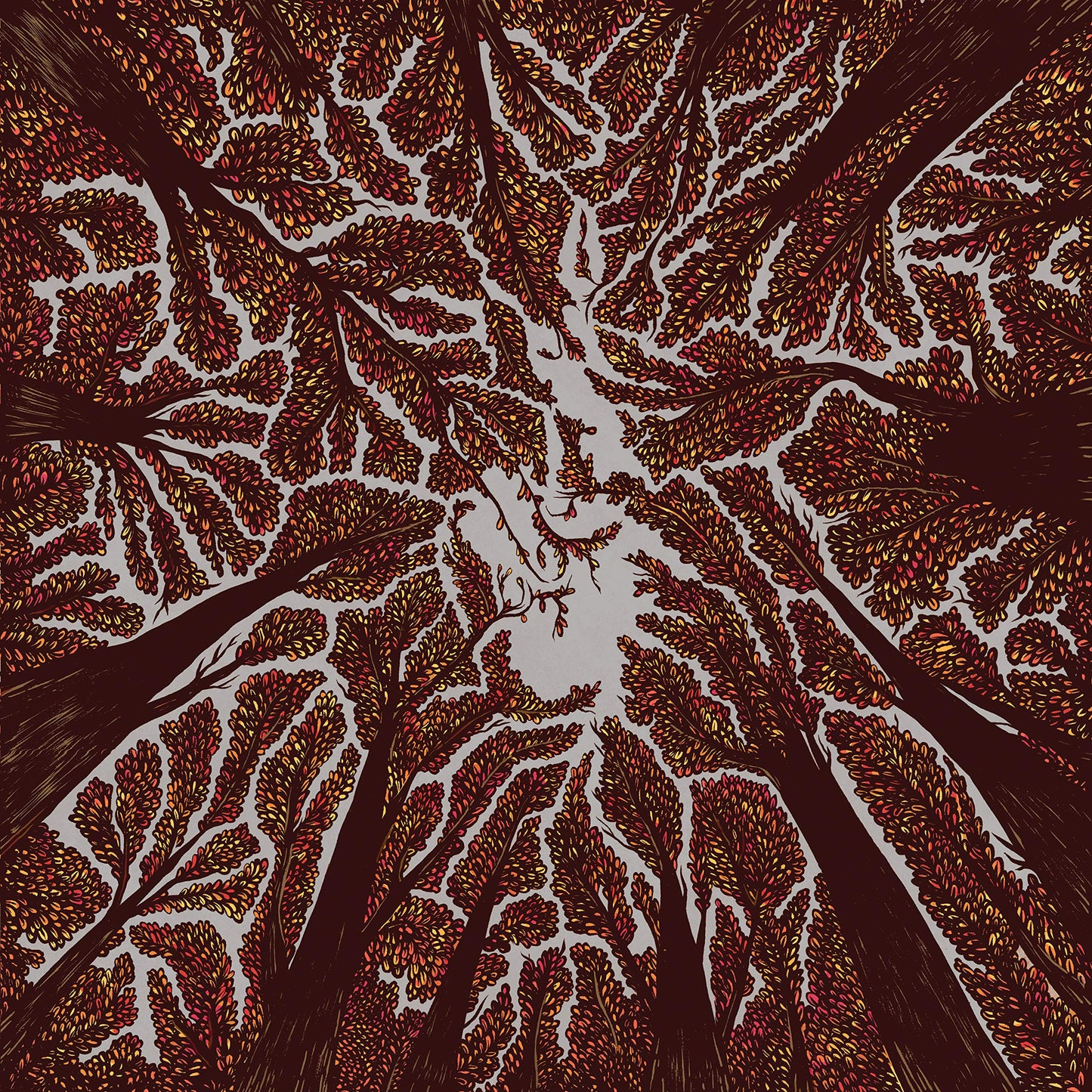 Trash Boat Crown Shyness CD New Mint Rock