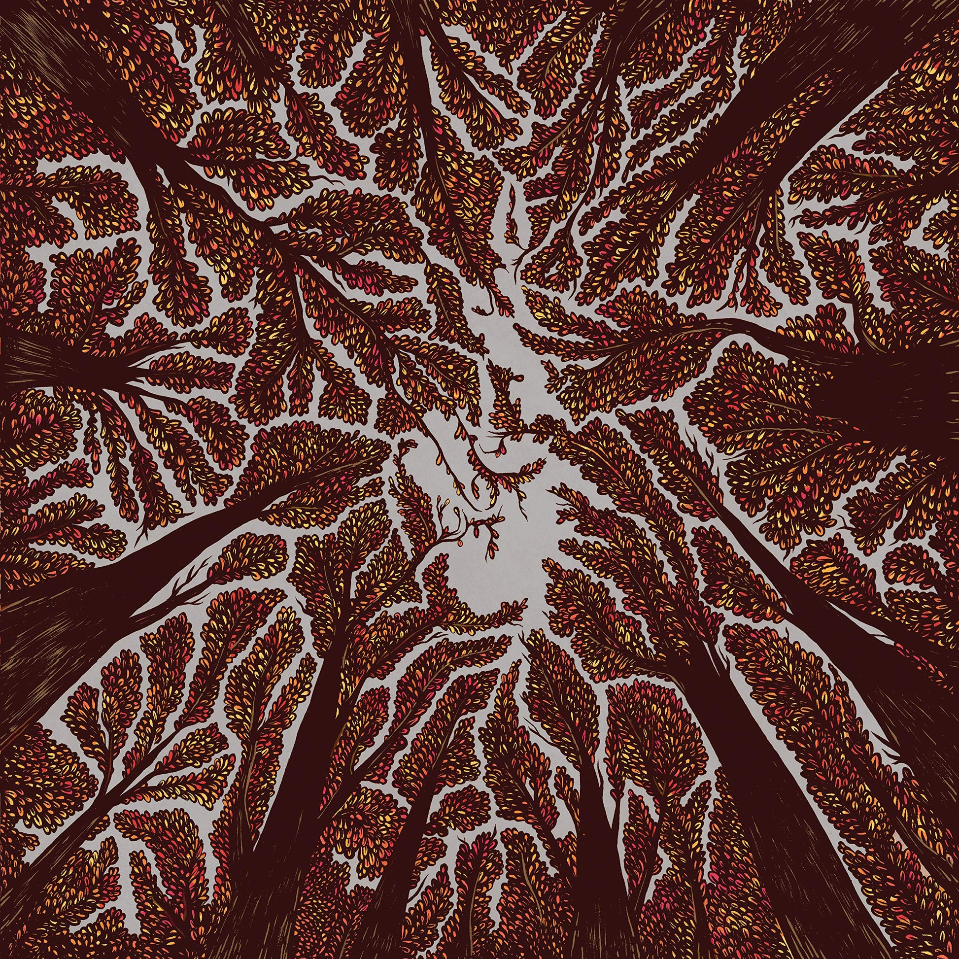 Trash Boat Crown Shyness CD New Mint Rock