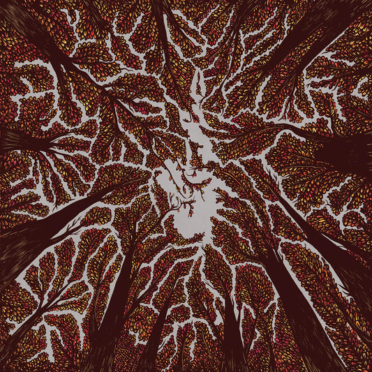 Trash Boat Crown Shyness CD New Mint Rock