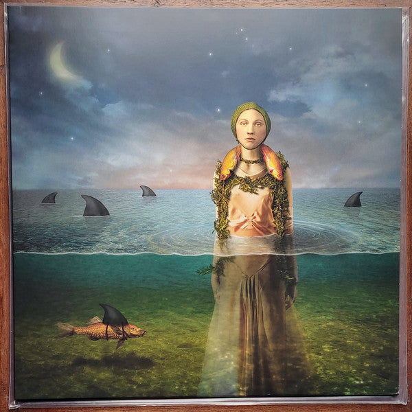 Bled, The - Found In The Flood (Ltd) - LP - New