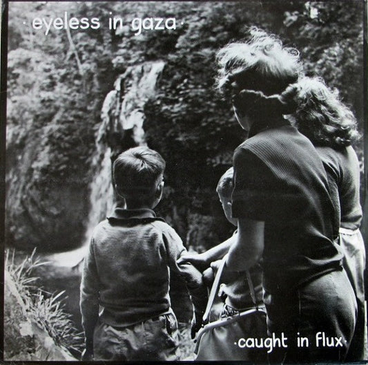 Eyeless In Gaza - Caught In Flux - 2LP - New