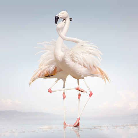 Rustie - Green Language - 2LP - New