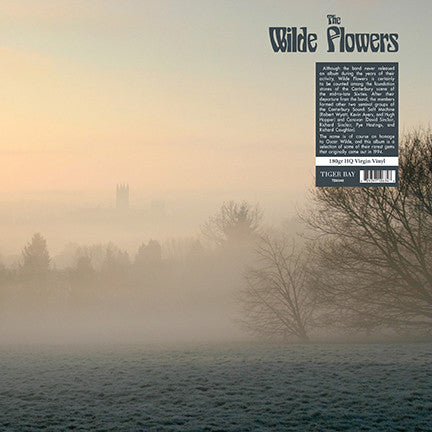 Wilde Flowers - The Wilde Flowers - LP - New