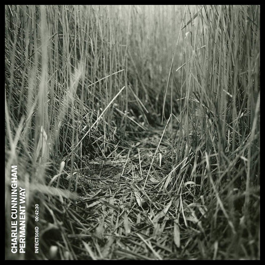 Charlie Cunningham - Permanent Way - Vinyl